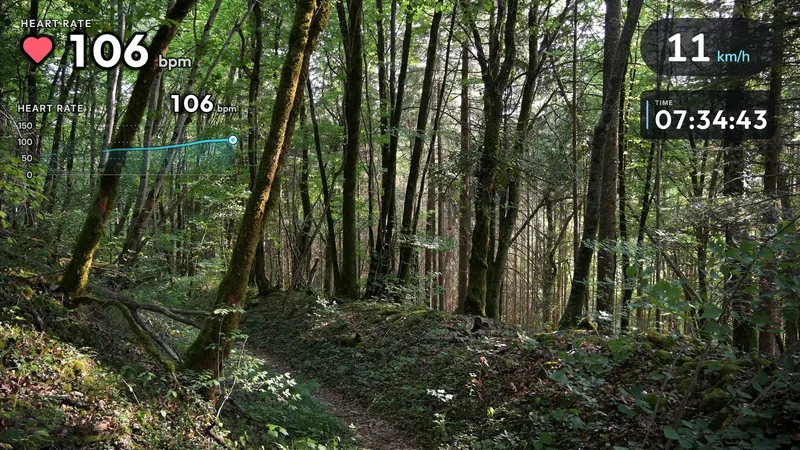 A photo of a forest trail among tall trees; heart rate (106 bpm) and its graph top left, speed (11 km/h) and the time of day (07:34:43) top right.